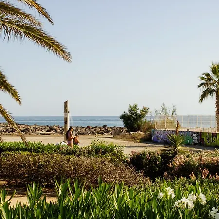 Gaviotas Playa דירה *